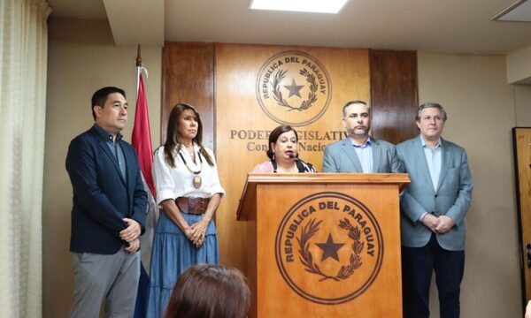 El PGN es el financiamiento de ideas políticas, dice senadora