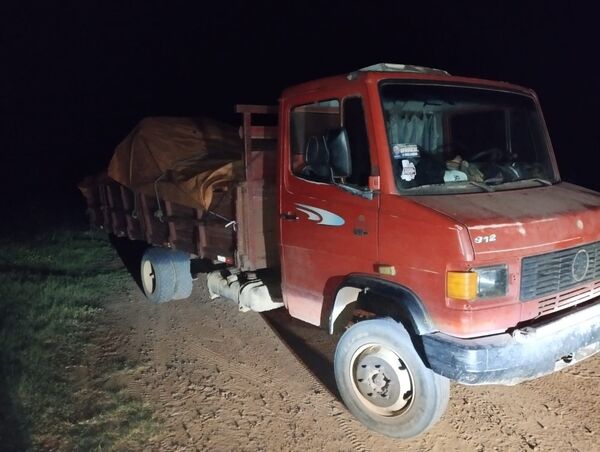 Incautan camión cargado con madera de urundey sin documentación en Puentesiño