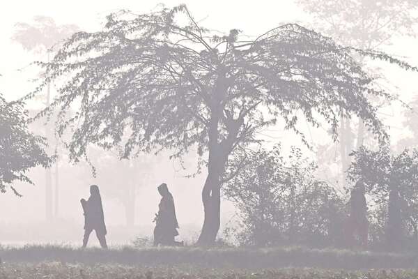 1,5 millones de muertes por año estarían vinculadas a la contaminación del aire por incendios - Ciencia - ABC Color