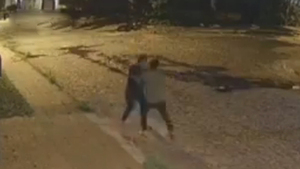 Sujeto atacó a una mujer y le robó la cartera - SNT
