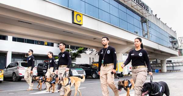 La Nación / Cinco canes antidrogas serán incorporados a la Senad