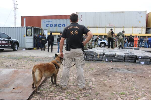 Cinco héroes de cuatro patas llegan para reforzar la lucha antidrogas de la Senad