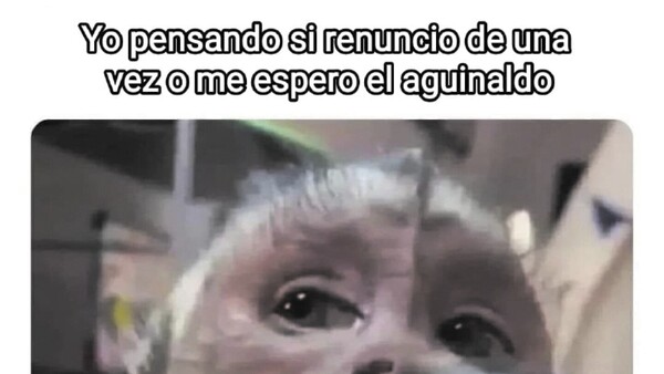 Inició la temporada: “Cobro mi aguinaldo y renuncio”