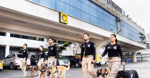 La Nación / La Senad incorporará cinco canes antidrogas