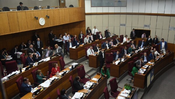 Precio del poder de Santiago Peña son las concesiones de privilegios