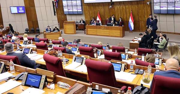 La Nación / Designarán representantes para la Comisión Permanente del período 2024-2025