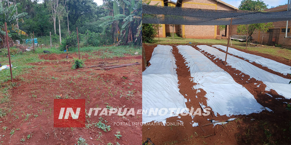 CON ÉXITO SE DESARROLLAN LAS HUERTAS TERAPÉUTICA DE LA GOBERNACIÓN DE ITAPÚA - Itapúa Noticias