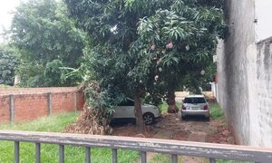 Luque: Recuperan camionetas robadas y detienen a un miembro de la banda del Flipper