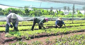 Pequeños productores generan su propio aguinaldo