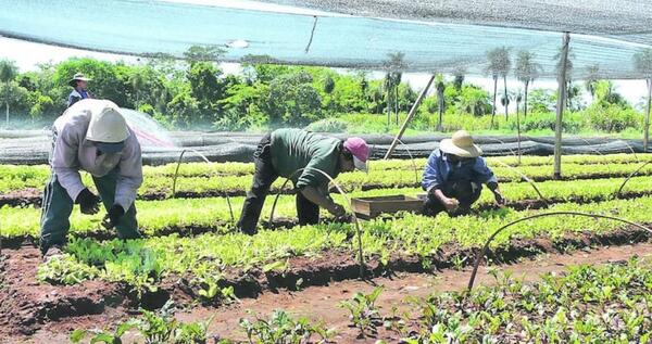 Pequeños productores generan su propio aguinaldo