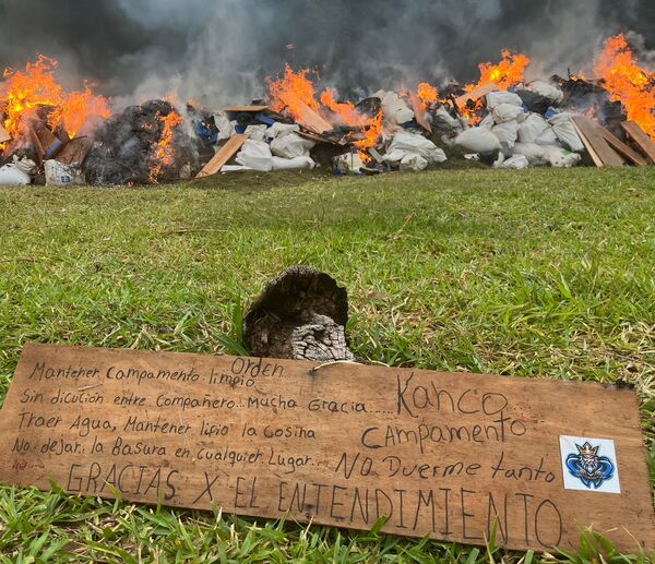 Anulan más de 17 toneladas de marihuana en Canindeyú - 1000 Noticias