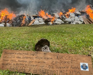 Anulan más de 17 toneladas de Marihuana en la Colonia Maracaná