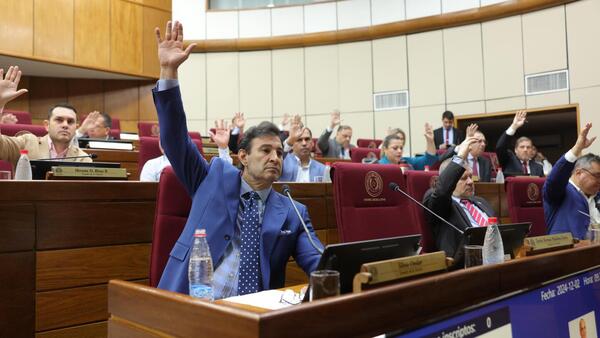 Cartistas cambian reglamento del Senado para prolongar mandato de Bachi