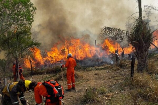 Bolivia: incendios forestales afectan a Santa Cruz