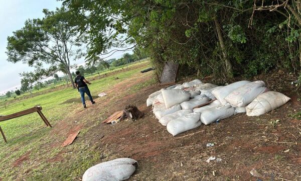 Incautaron más de 17.300 kilos de marihuana en allanamiento en Maracaná