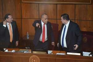 Bachi se perpetúa en la presidencia del Senado con apoyo de sus aliados y algunos opositores  - Política - ABC Color