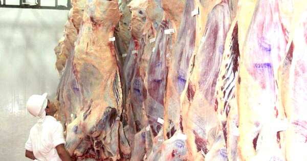 La Nación / Carne paraguaya cotizada 4 % más que en 2023, pero no alcanza los USD 5,17/Kg del 2022