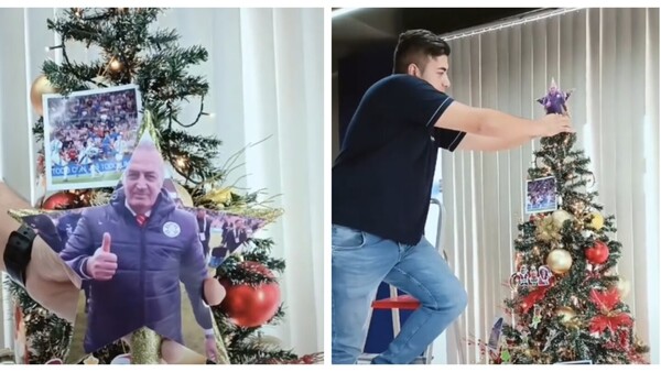 Armaron el árbol de Navidad más albirrojo
