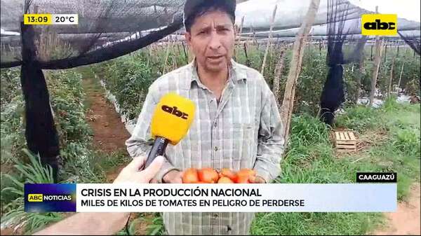 Tomateros reportan millonarias pérdidas y apuntan a mala planificación del MAG - ABC Noticias - ABC Color