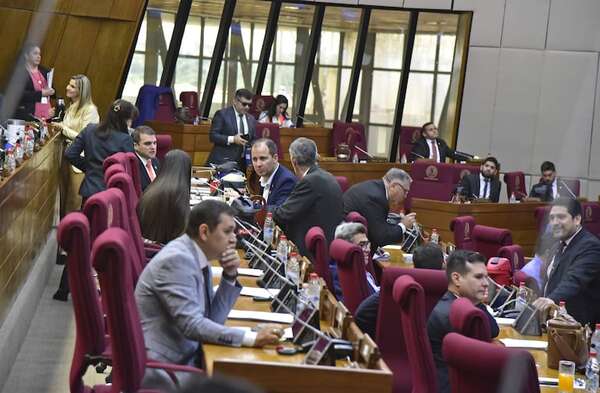 PGN 2025: Diputados se reúne mañana para decidir sobre autoaumentos - Economía - ABC Color