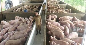 Diario HOY | Ratifican a Paraguay como país libre de peste porcina y de pequeños rumiantes