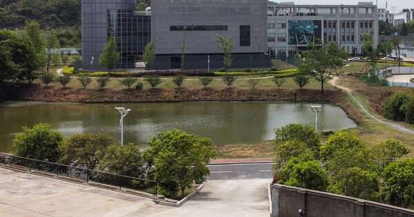 La Nación / El covid-19 “se fugó” del laboratorio de Wuhan, creen legisladores de EE. UU.