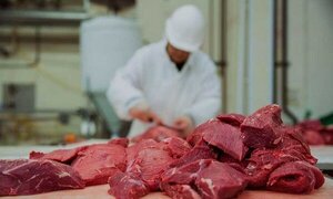 El gobierno boliviano espera que el precio de la carne de vacuno baje después cumplir con ganaderos 