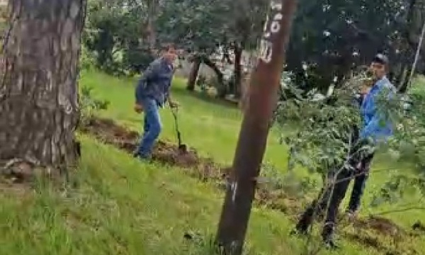Vecinos denuncian intervención en la Plaza Paulo González para desagüe cloacal privado - OviedoPress
