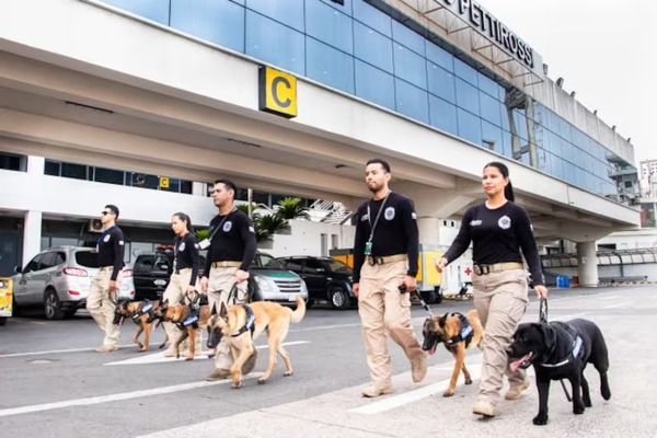 SENAD presentará 5 nuevos canes detectores de drogas - 1000 Noticias