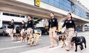 Argos, Zeus, Zorro, Moisés y Orión, los nuevos canes antidrogas de la Senad – Prensa 5