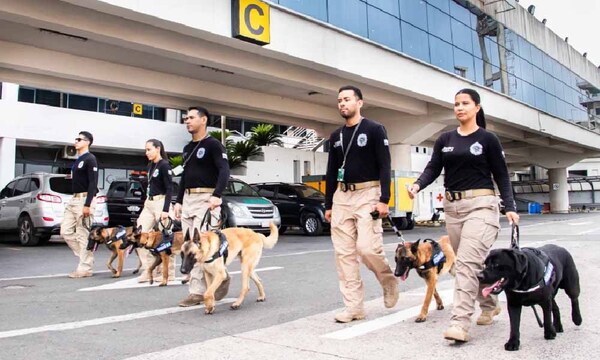 Argos, Zeus, Zorro, Moisés y Orión, los nuevos canes antidrogas de la Senad – Prensa 5