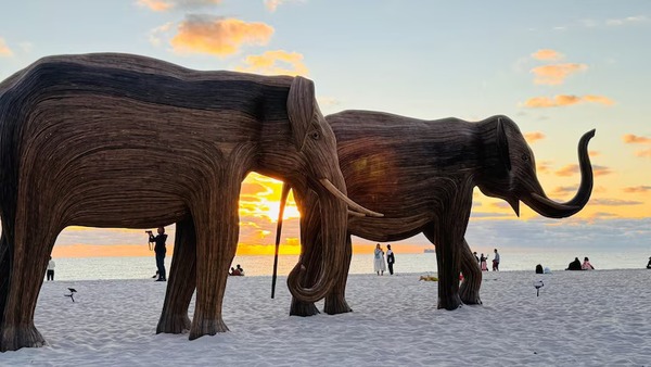 La invasión sorpresa de elefantes en Miami Beach: arte, ecología y un desfile impactante