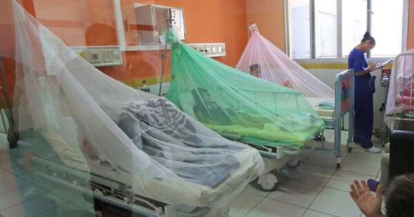Diario HOY | La razón por la que se atrasó el inicio de la epidemia de dengue