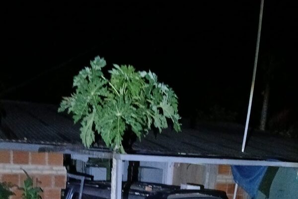 (Video) Tatácho “metió” su camioneta en la casa donde compartía una ronda de tragos