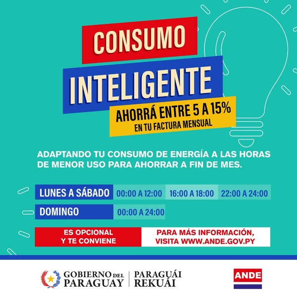 “Consumo inteligente”, la propuesta de la ANDE que permitirá ahorrar a los usuarios - ADN Digital