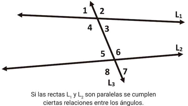 Ángulos entre rectas cortadas por una transversal - Matemática Tercer Ciclo - ABC Color