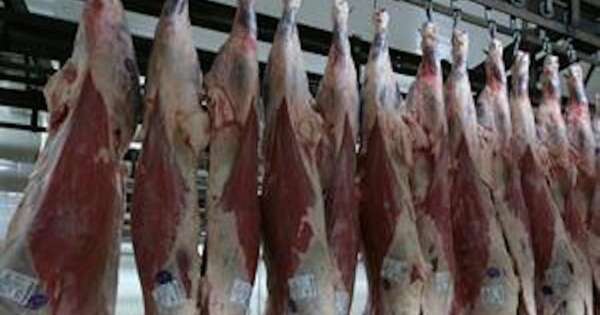Diario HOY | Paraguay aumenta envíos de carne a Taiwán, el país asiático remite ingenieros de alto perfil
