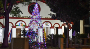 La Colmena de Fiesta Patronal