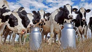 Fonterra registra suba del 3,1% en el precio de la leche en polvo