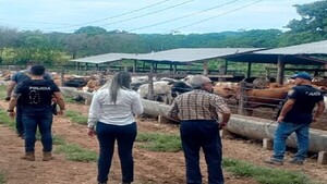 Cuatro policías y funcionarios son detenidos en operativo antiabigeato