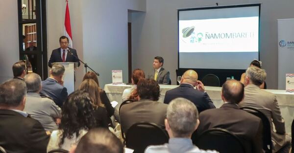 Habilitan consulta pública respecto al plan social “Ñamombarete Paraguay”