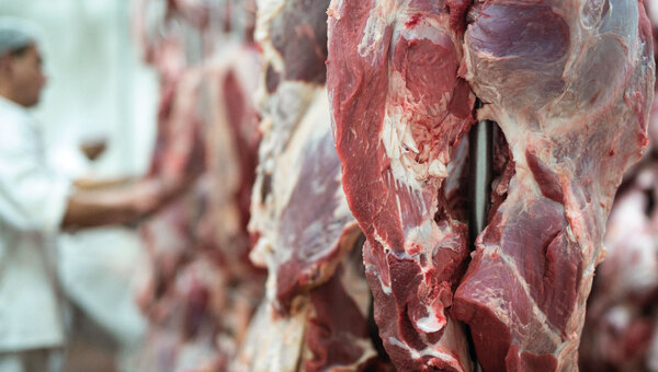 La exportación de carne mueve más de USD 1.500 millones, su cifra más alta en 8 años - MarketData