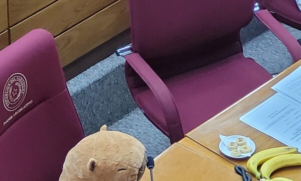 ¡Por tu cara Nayakama! Peluche de carpincho causa furor en el Senado
