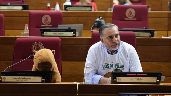 Nakayama ya no es bienvenido en Pilar y un carpincho ocupa su banca del Senado