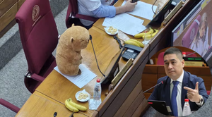 Bautizan a Nakayama como “senador carpincho” y lo declaran persona no grata en Pilar - Noticiero Paraguay