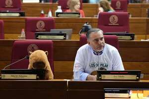 Senado pide investigación sobre matanza de animales en Ñeembucú - Política - ABC Color