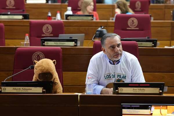 Senado pide investigación sobre matanza de animales en Ñeembucú - Política - ABC Color