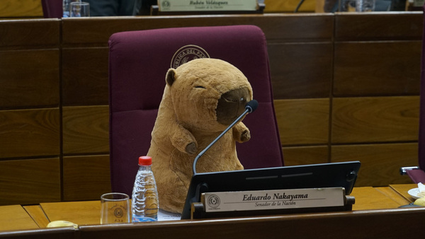 Villalba responde con carpincho de peluche