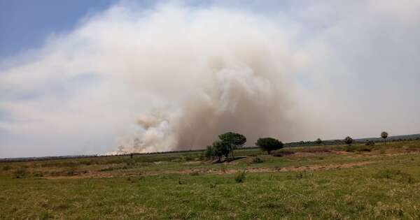 Diario HOY | Voraz incendio de pastizales en ruta Luque - San Bernardino