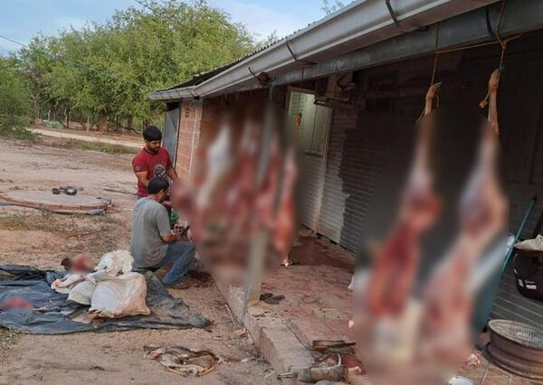Caza furtiva en el Chaco: Fiscal advierte sobre penas de hasta 8 años por captura ilegal de fauna